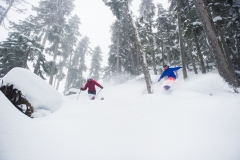 Only friends on a powder day. Skiing and riding the trees.