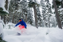 Deep December powder turns